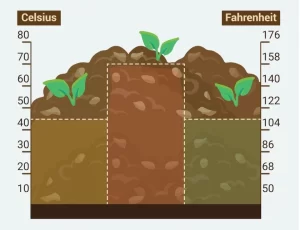 How Compost Happens