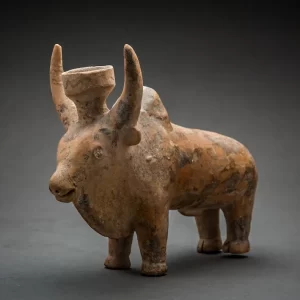 Indus Valley Bull