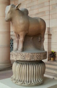 Bull capital of Rampurva