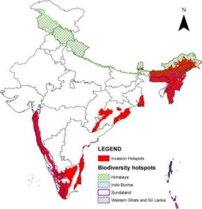 biodiversity Hotspots India