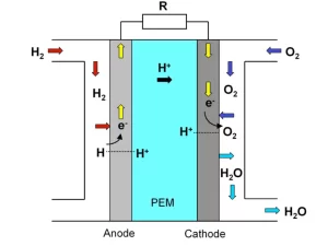 Fuel Cell