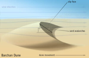 Barchan dune