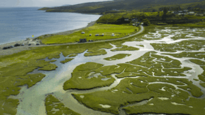 Depositional Plains