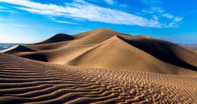 Desert Landforms & Erosion Mechanism