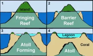 Fringing Reef, Barrier Reefs