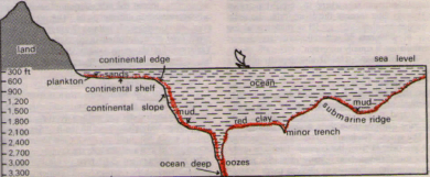 Hydrosphere - Ocean Floor Division