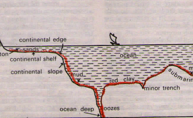 Hydrosphere - Ocean Floor Division