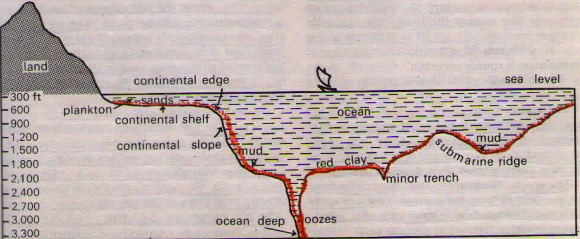 Hydrosphere - Ocean Floor Division