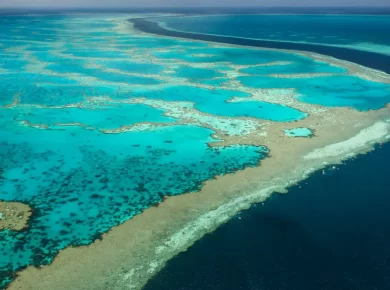Islands & Coral Reefs