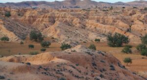 Loess deposits