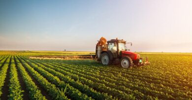 Salient Features of Indian Agriculture - Part 1