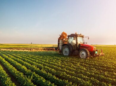 Salient Features of Indian Agriculture - Part 1