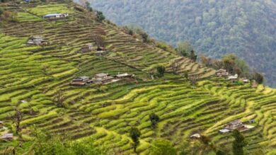Salient Features of Indian Agriculture - Part 2