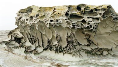 Weathering - Chemical + Physical + Biological