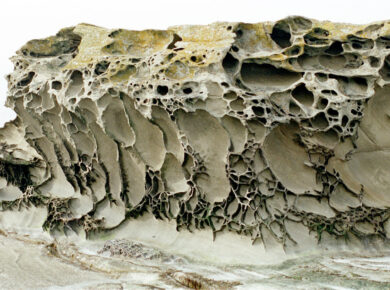Weathering - Chemical + Physical + Biological