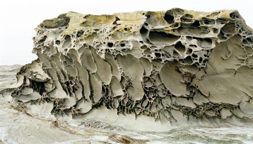 Weathering - Chemical + Physical + Biological