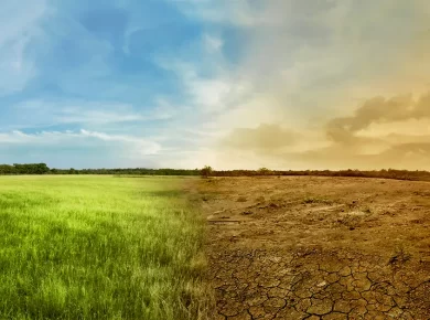 climate of india
