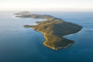 continental islands