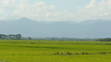 type of plains