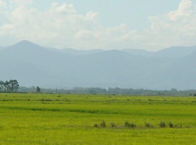 type of plains