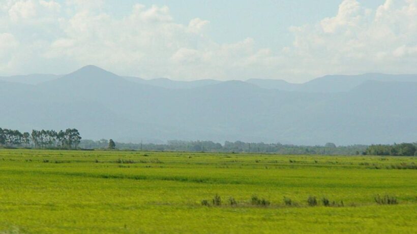 type of plains