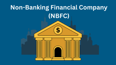 Non Banking Financial Intermediaries