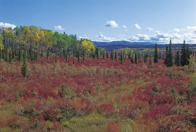 China type Climate - Warm Temperate Eastern Margin