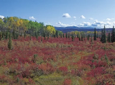 China type Climate - Warm Temperate Eastern Margin