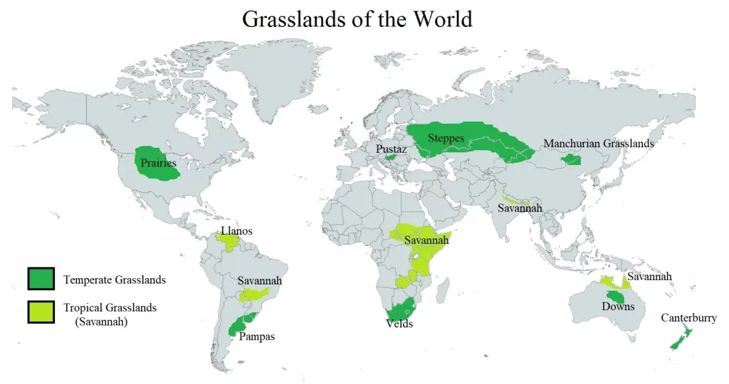 Grasslands of the world