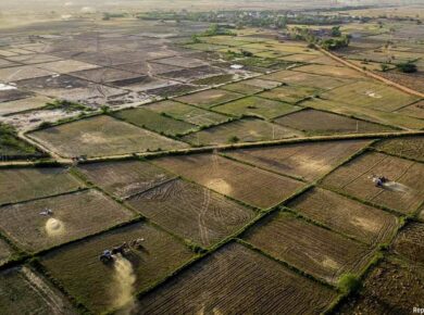 Gujarat Plains