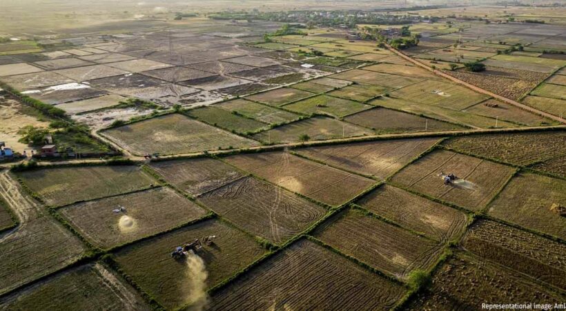 Gujarat Plains