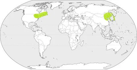 Laurentian Climate