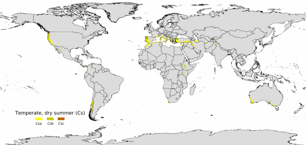 Mediterranean Climate