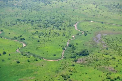 Savanna Climate (Sudan Type Climate) - Tropical Grasslands