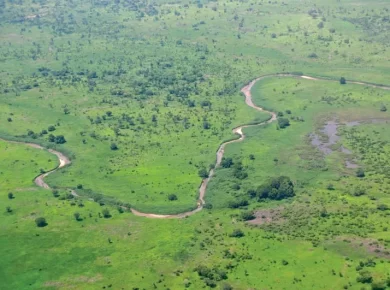 Savanna Climate (Sudan Type Climate) - Tropical Grasslands