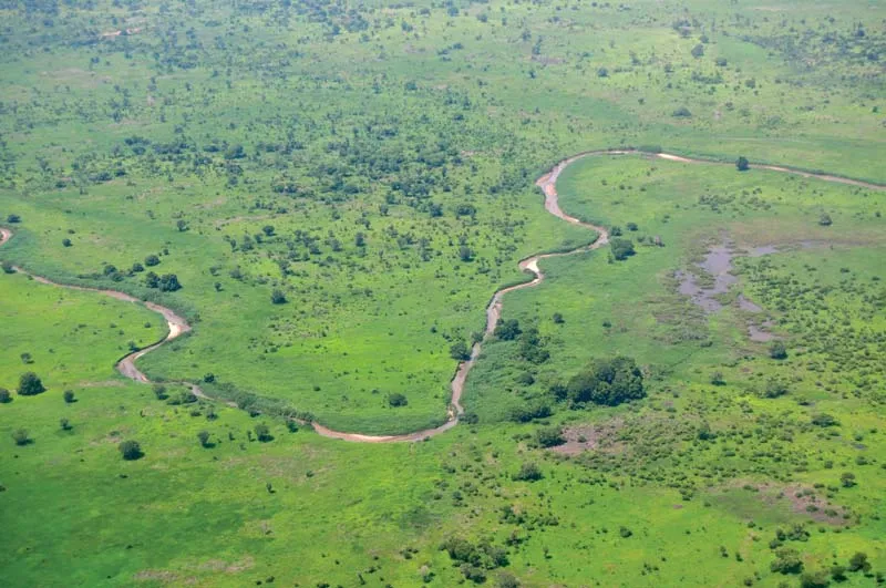 Savanna Climate (Sudan Type Climate) - Tropical Grasslands