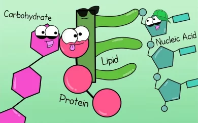Biotechnology, Vitamins, Carbohydrates, Proteins, Lipids, Nucleic Acid
