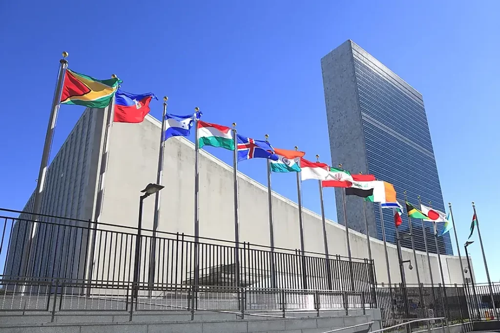 United Nations Organization