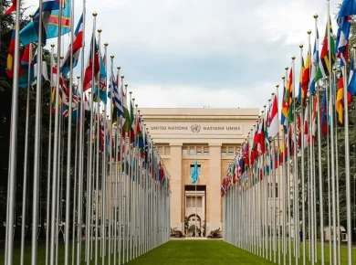 United Nations Organization