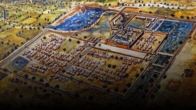 Emergence of Planning System