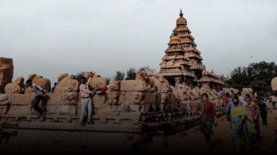 Indian Social Structure in Ancient India
