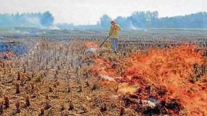 Stubble Burning