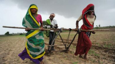 Low Female Labour Force Participation + Wage Disparity + Women in Combat Role