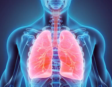 The Respiratory System