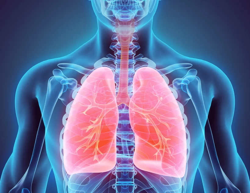 The Respiratory System