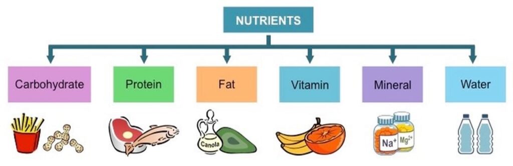 Nutrients