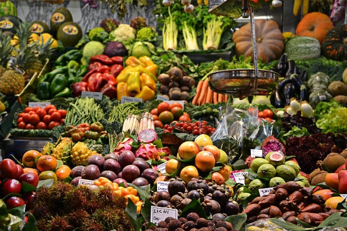Introduction of Nutrition and Digestive System