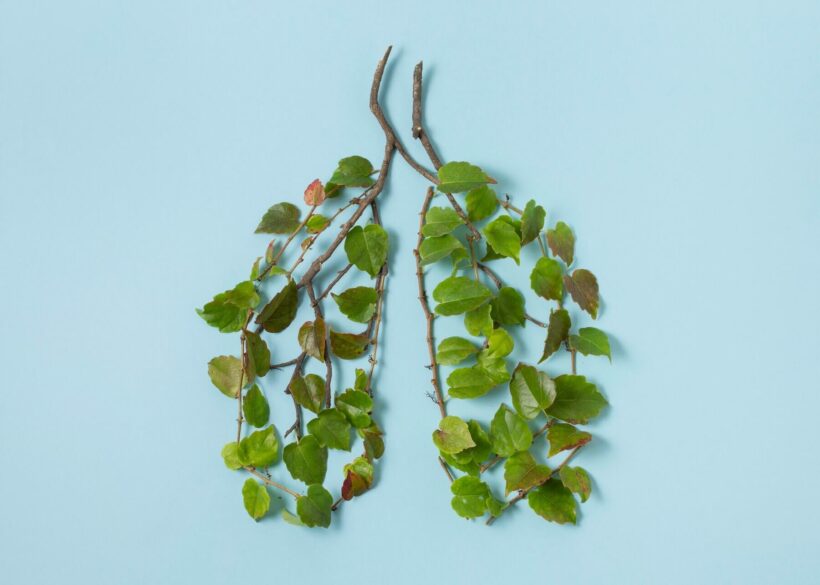 Non Respiratory System