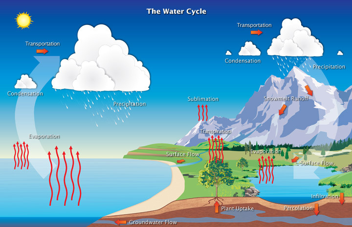 Water