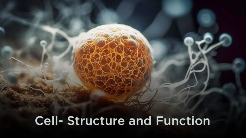 Cell – Structure and Function